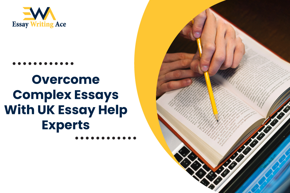 essay help online