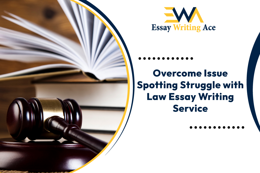 law essay writing service